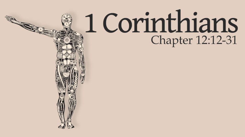 the body of christ. one body