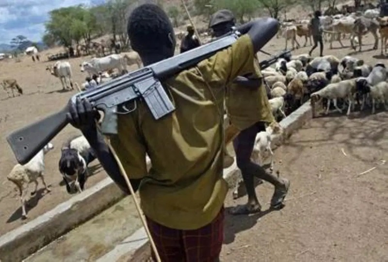 11 Killed in New Benue Attack by Suspected Herdsmen