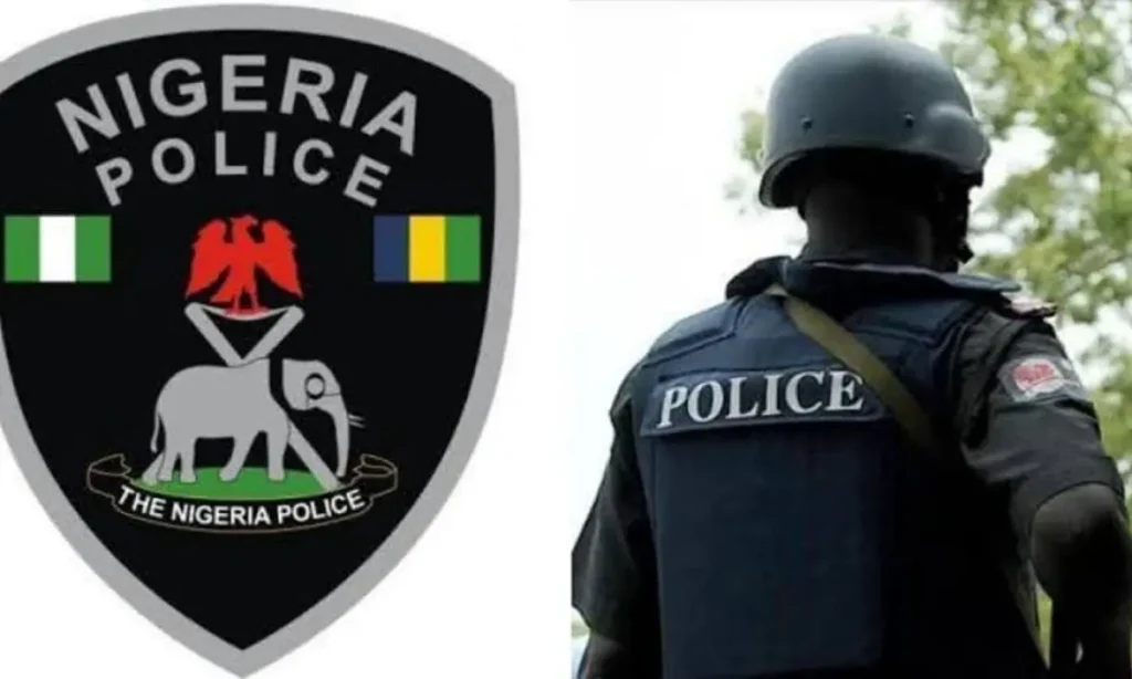 Human Skull Discovered At Enugu Church Site Connected To Prophet Ezedike