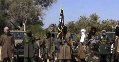 boko haram ambush kills soldiers, cjtf, and civilians