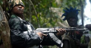 Gunmen Shoot Catholic Priest, Abduct Two In Benue