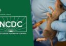 Nigeria Sees Surge in Lassa Fever Cases as Death Toll Climbs to 143