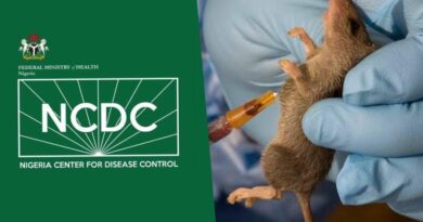 Nigeria Sees Surge in Lassa Fever Cases as Death Toll Climbs to 143