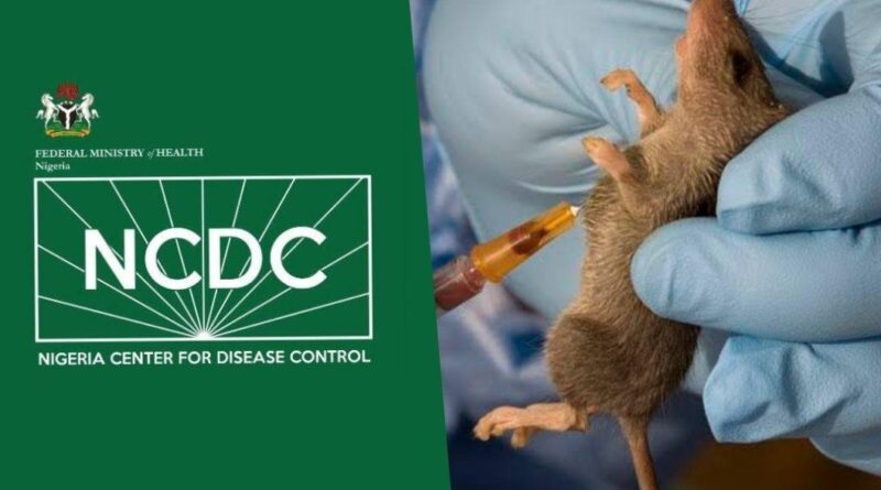 Nigeria Sees Surge in Lassa Fever Cases as Death Toll Climbs to 143