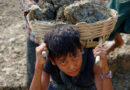 Child Labour Crisis: Millions of Children Still Working in 2024