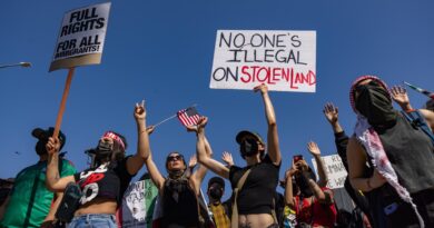 Immigration Raids: Mass Arrests Rock Downtown Los Angeles