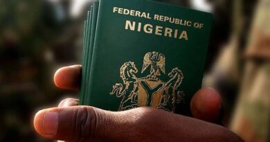 Nigeria's Passport Jumps to 88th Rank - Highest in 5 Years