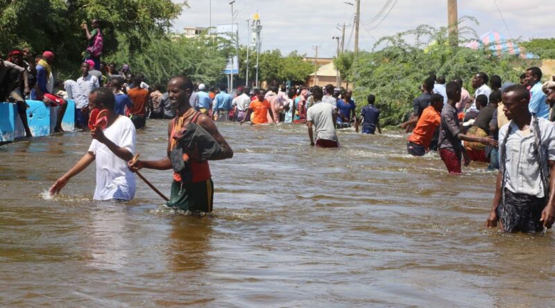 States on Alert as Adamawa Flood Death Toll Rises