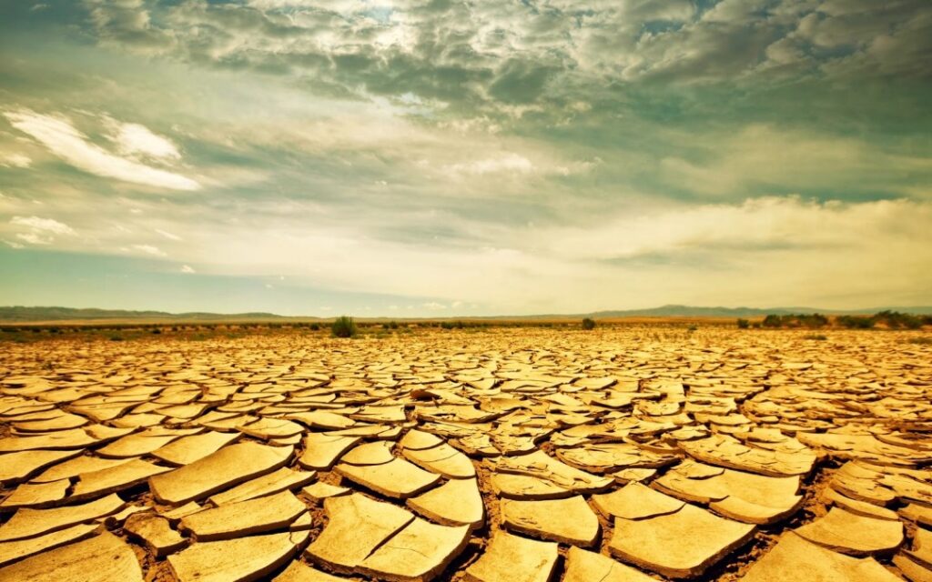 Drought