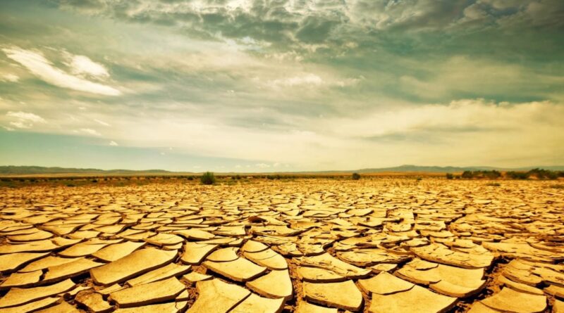 Drought