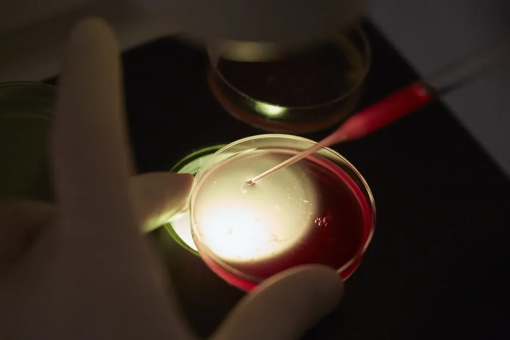 Switzerland’s Egg Donation Proposal Faces Pushback from Faith Leaders