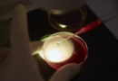 Switzerland’s Egg Donation Proposal Faces Pushback from Faith Leaders