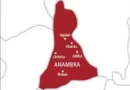 Anambra Bans Writing Assignments in Textbooks, Moves Against Extravagant School Parties