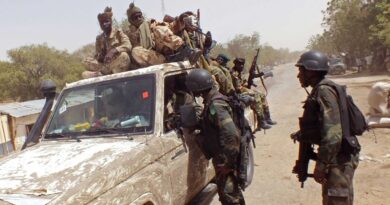 Troops Kill 8 ISWAP Fighters in Borno Ambush