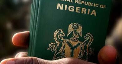 FG Justifies Passport Fee Hike to N100,000, N200,000