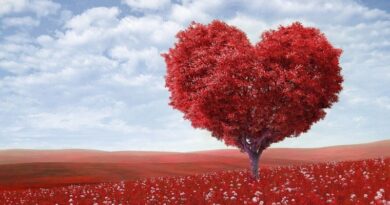 Way of Maturity and Love: Choosing Forgiveness Over Hate