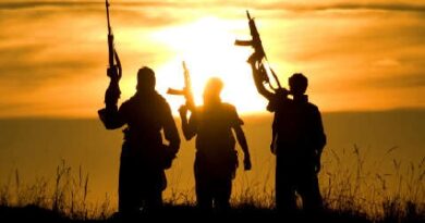 Christian Genocide Debate Deepens as PFN, Islamic Council Clash Over Claims