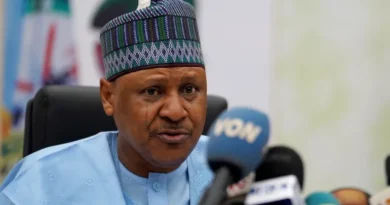 Nigeria Seeks US Cooperation to Tackle Violent Attacks