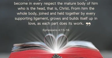 Bible Reading Shapes a More Loving and Generous America