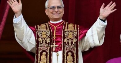   Pope Leo: Jesus Alone Saved the World, Not Mary