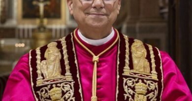 Pope Peace Call: Living Christ Mandate for Peace